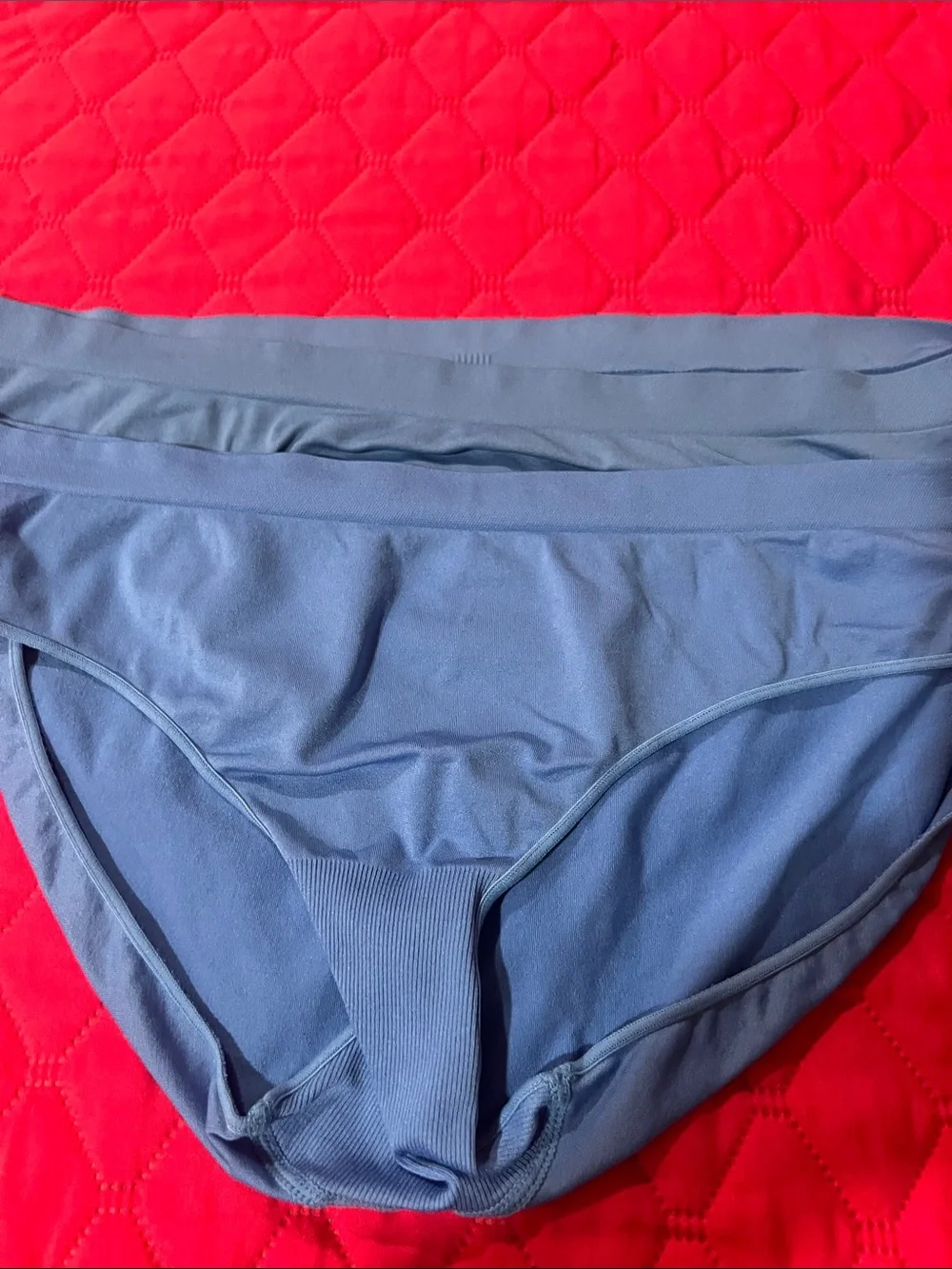 Ambrielle Lace-Trim Bikini Briefs - Plum, Blush, Blue